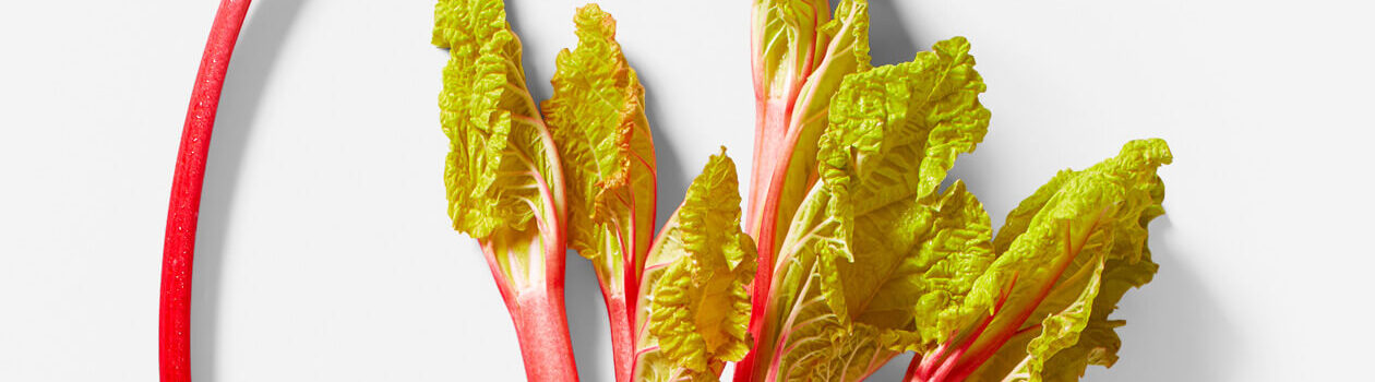 Everything you need to know about rhubarb