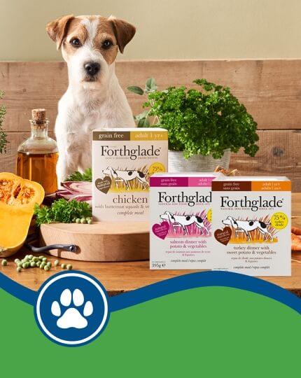 dog behind arrangement of three Forthglade dog food boxes