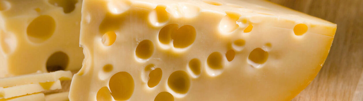 swiss cheese