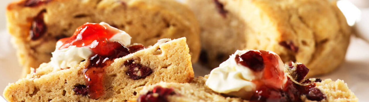 Gluten Free Cranberry Buttermilk Scones cropped