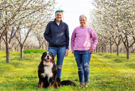 Two women standing in a field of cherry trees with a Bernese Mountain Dog.