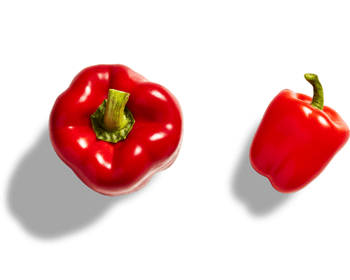 Red bell pepper on a white background.